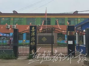 保定徐水喜洋洋幼兒園教師針扎幼童事件引發(fā)社會關注，涉事教師已被依法拘留