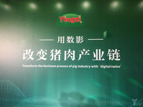 豬臉識別 這家企業(yè)如何以工業(yè)互聯(lián)網數(shù)據(jù)服務推動農業(yè)智能化落地